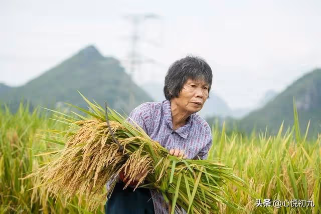 65歲阿姨:就為了50000塊錢,女兒竟然和我斷絕關係,我錯了嗎