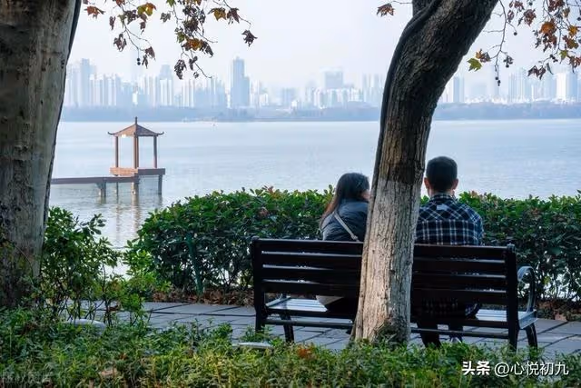 岳母一聲不吭賣掉老家房子,住到我家對門,女婿:這日子沒法過了
