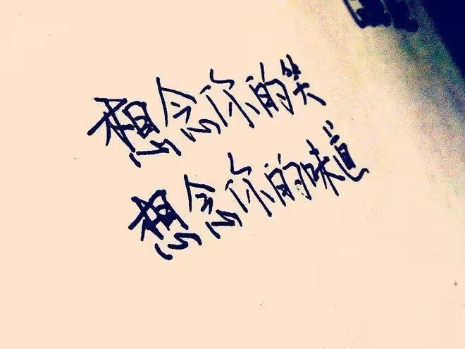老婆離世多年後我再婚,宴席上突然收到一條轉賬的簡訊,我含淚取消了婚禮