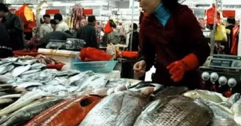 勸告大家：常吃魚身體好，但有三種魚堅決不能吃，細菌太多！