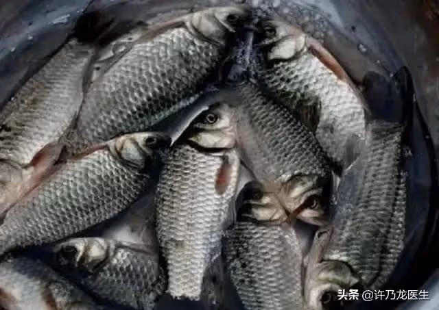 勸告大家:常吃魚身體好,但有三種魚堅決不能吃,細菌太多!