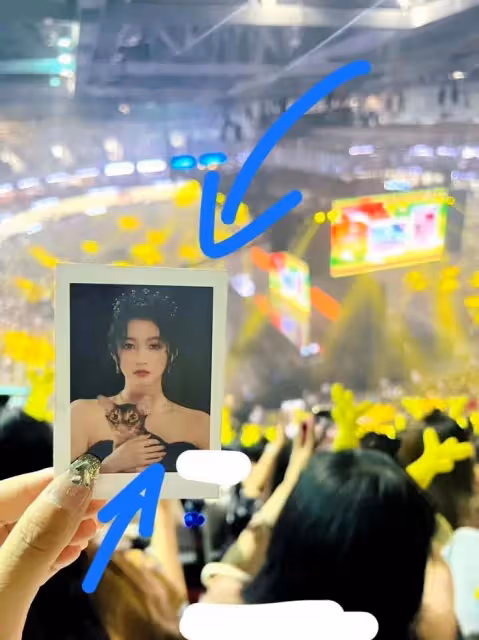 關曉彤去看鹿晗演唱會,曾經不被粉絲看好,如今是娛圈最穩定情侶