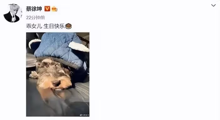 桃色大瓜!蔡徐坤一夜情致使女方早孕,蔡母要求女方打胎,還派人監督跟蹤