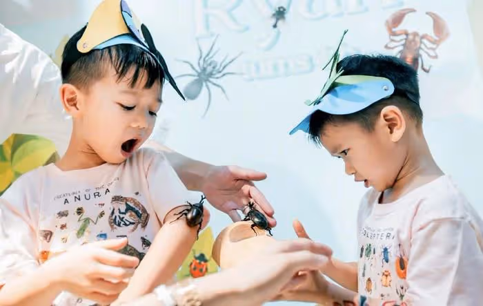 胡杏兒曬全家福為次子慶生,4歲Ryan徒手抓蛇超勇敢,鄭嘉穎妻兒現身