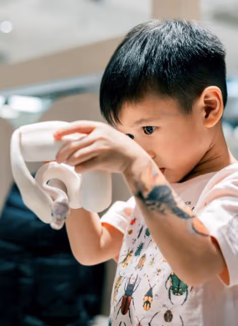 胡杏兒曬全家福為次子慶生,Ryan徒手抓蛇超勇敢,鄭嘉穎妻兒現身
