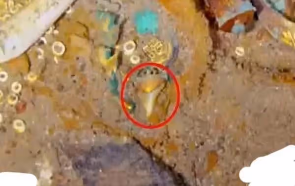 20億埋在鐵達尼號殘骸處?泰坦號爆炸背後是5個富豪探險家貪婪