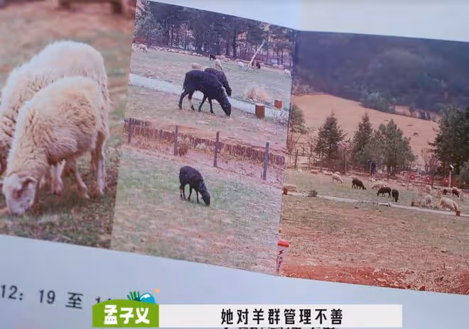 湯晶媚被氣哭,抱怨節目組不公平對待,周一圍:各打五十大板