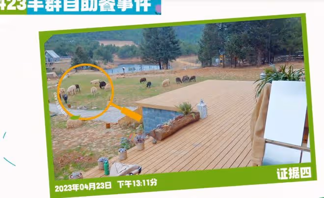 湯晶媚被氣哭,抱怨節目組不公平對待,周一圍:各打五十大板