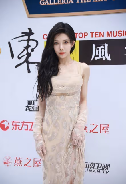 鞠婧禕深V亮片裙走紅毯,被贊全場最美!周深穿黑金禮服也帥到爆