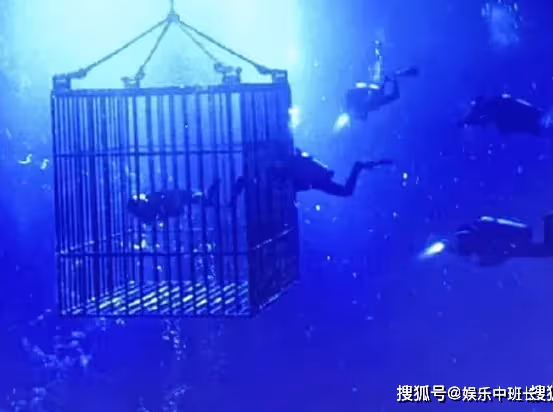 《消失的她》李木子的氧氣罐是自己拔的嗎?《消失的她》結尾何非後悔了嗎?
