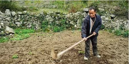 別狗眼看人低!雙方父母見面談結婚,男方父親「打包剩飯菜」被一家人嘲笑,飯店經理:您怎麼來了!