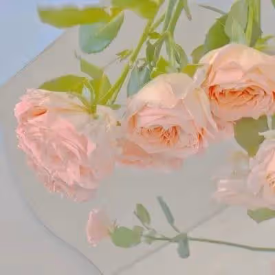 丈夫用離婚逼迫妻子伺候婆婆,妻子:你先想想她曾為我做過什麼