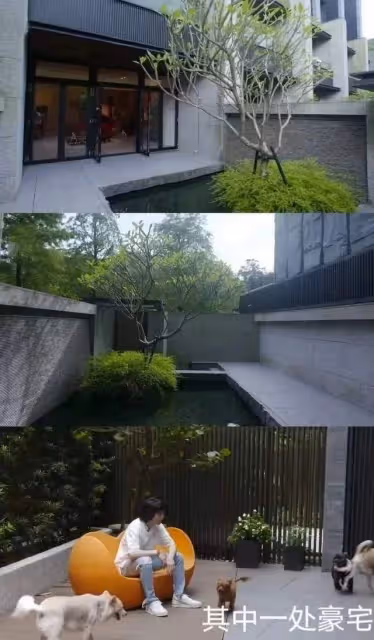 蕭敬騰老婆林有慧3個關鍵詞:為夫擋黑道,替他賺上億強硬治黑粉