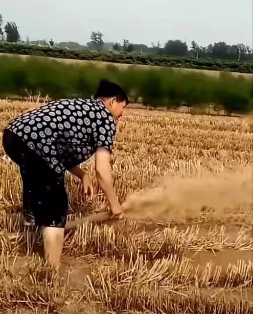 大衣哥終於忍不住,把兒子和兒媳婦趕出了門,原因是孩子好吃懶做