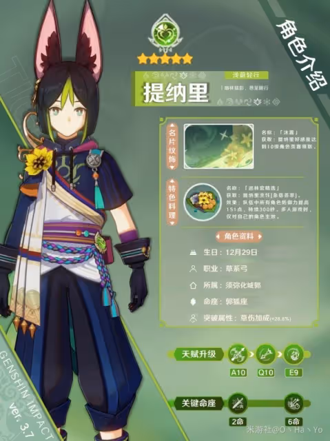 《原神》3.7版提納里出裝與隊伍搭配推薦