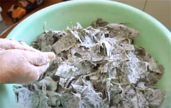 地瓜葉不要再扔了,可以這樣做,簡單又營養,學會做給孩子吃