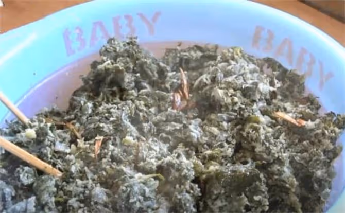 地瓜葉不要再扔了,可以這樣做,簡單又營養,學會做給孩子吃