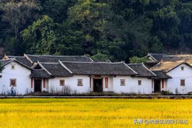 三叔患病危在旦夕，看到整個家族只捐出3000元後，我退出了家族群