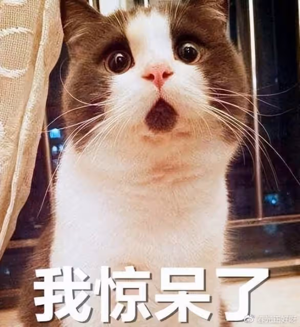 趙文卓拍元宇宙武俠大片,片場用力過猛,大吼:一個能打的都沒有