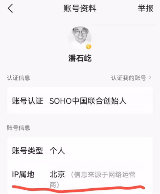 潘石屹:被曝已經低調回國,手滑點贊大S八卦,開始出售國內資產