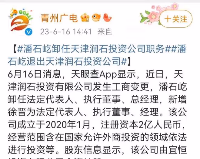 潘石屹:被曝已經低調回國,手滑點贊大S八卦,開始出售國內資產