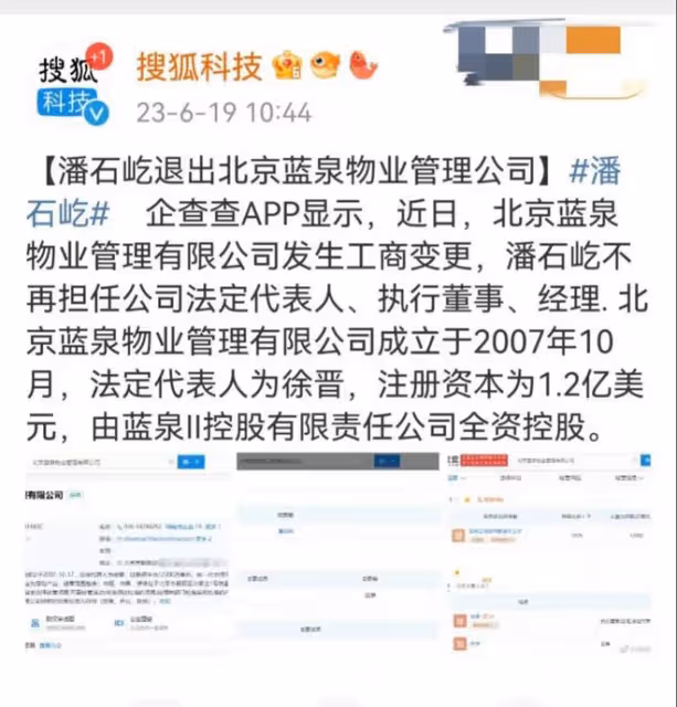 潘石屹:被曝已經低調回國,手滑點贊大S八卦,開始出售國內資產