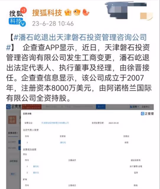 潘石屹:被曝已經低調回國,手滑點贊大S八卦,開始出售國內資產