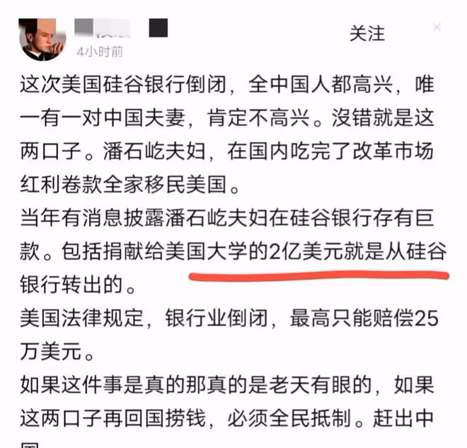 潘石屹:被曝已經低調回國,手滑點贊大S八卦,開始出售國內資產