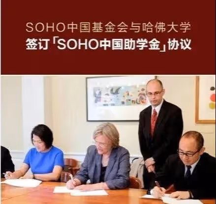 潘石屹:被曝已經低調回國,手滑點贊大S八卦,開始出售國內資產