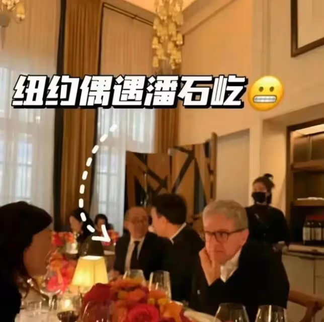 潘石屹:被曝已經低調回國,手滑點贊大S八卦,開始出售國內資產
