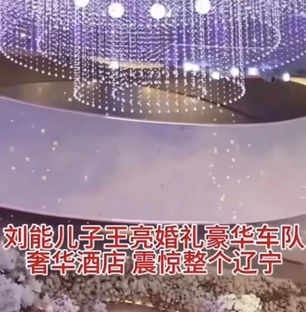 謝廣坤:否認參加劉能兒子婚禮收百萬酬勞,錄視頻被疑無利不起早
