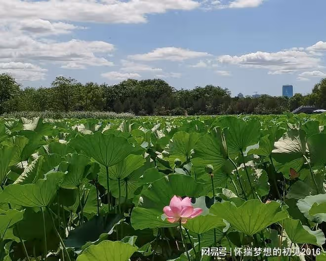 婆婆病了兒媳沒及時送她去醫院,婆婆走了,兒媳一個人不敢在家住