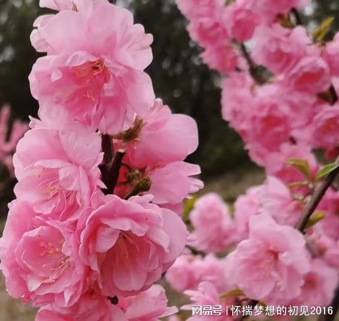 婆婆病了兒媳沒及時送她去醫院,婆婆走了,兒媳一個人不敢在家住