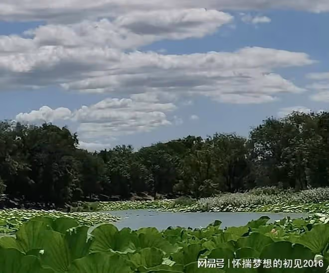 婆婆病了兒媳沒及時送她去醫院,婆婆走了,兒媳一個人不敢在家住