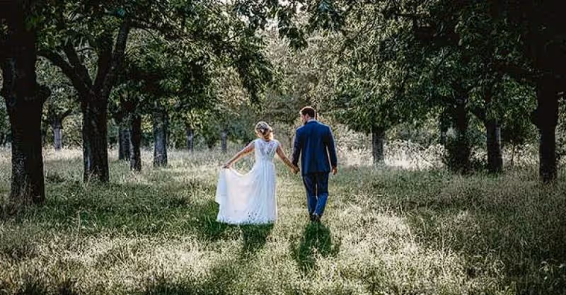 別人家兒媳多懂事，會給婆婆買金項鍊；別人家婆婆對兒媳婦比你好
