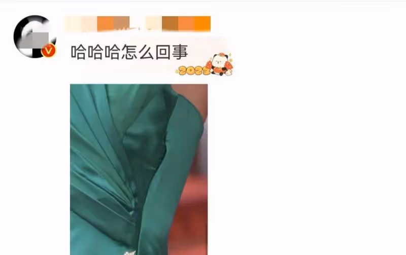 高葉坎城造型師去釣魚了!衣服穿上了!網友表示至少鐵褶子啊!