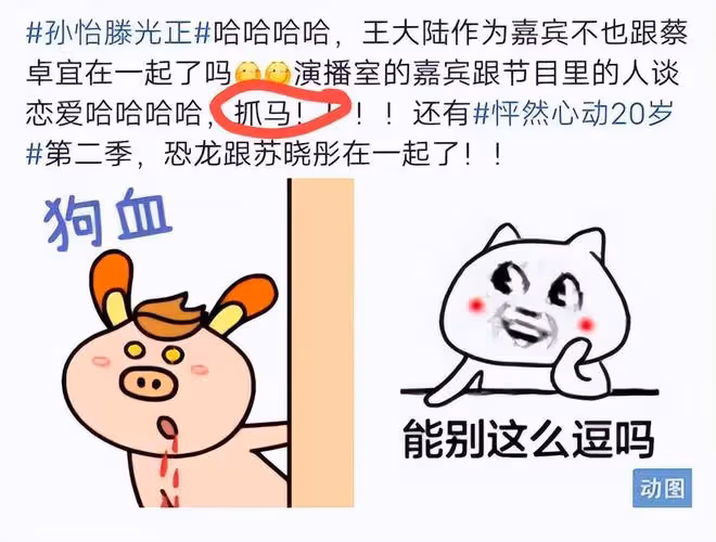 孫怡與戀愛綜藝素人男嘉賓一同看周杰倫演唱會?孫怡闢謠:姐單身