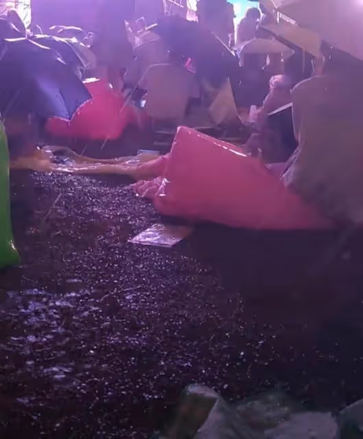 觀眾實慘!明星演唱會散場後場地堪比垃圾場,主辦方拿錢不辦實事