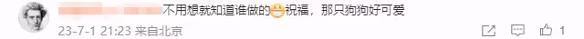 徐冬冬曬男友視角生活照,與尹子維復合後出租屋同居,男方親下廚