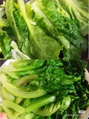 5分鐘搞定爆好吃耗油生菜，減肥餐必備菜譜