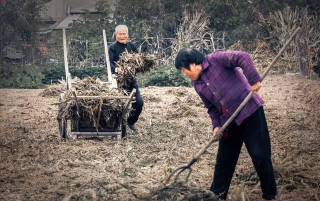 「爺爺,你咋又來了」孫女的童言無忌,我才明白我晚年的依靠在哪