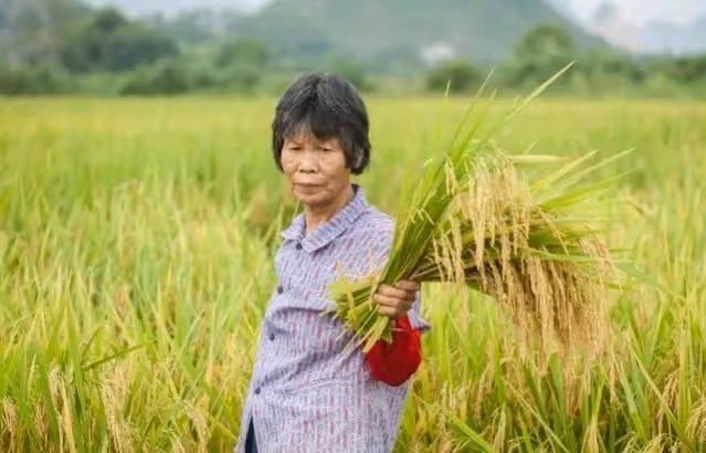 侄女2歲就住我家，後來給我買了套房子，今天我接到了個陌生電話