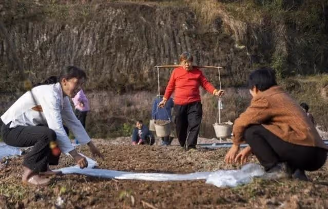 侄女2歲就住我家，後來給我買了套房子，今天我接到了個陌生電話