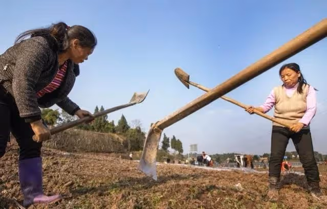 侄女2歲就住我家,後來給我買了套房子,今天我接到了個陌生電話