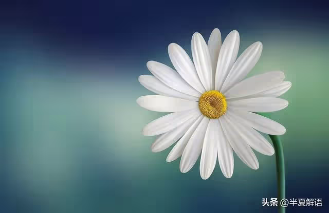 丈夫讓婆婆帶弟媳來坐月子,妻子照做,半月後丈夫懊悔:人財兩空