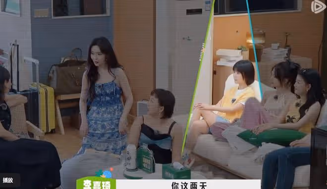 看了宋伊人在「桃花塢3」的表現,終於明白她為啥從社牛變成慫包