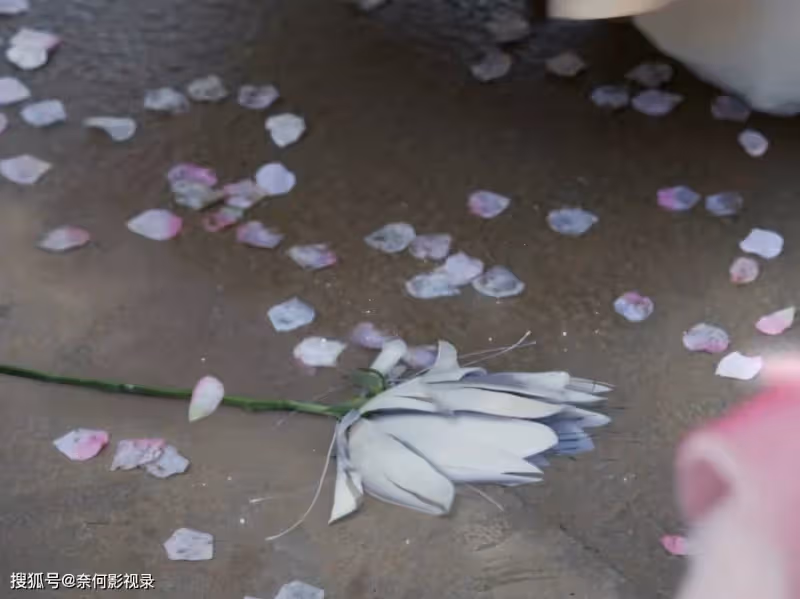 《玉骨遙》才播4集,就差評如潮,觀眾差評理由出奇一致