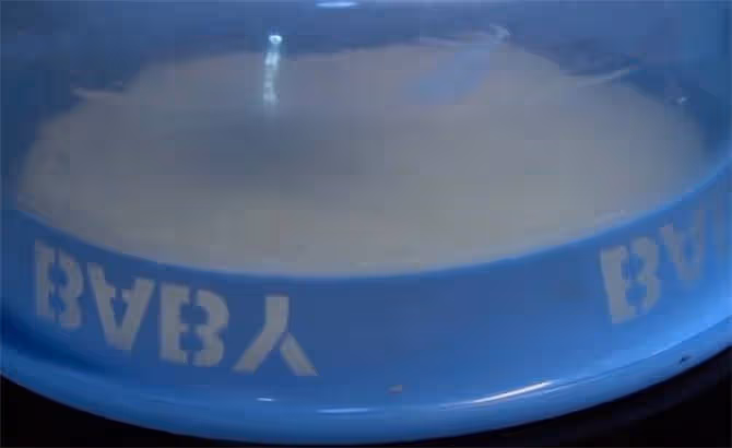 發麵餅夏天最簡單的做法,蓬鬆暄軟,好吃有嚼頭,全家人都愛吃