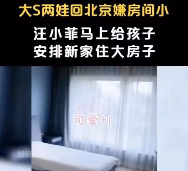 為防汪小菲接孩子大S出大招:要6000萬押金,讓麻六記安總做擔保