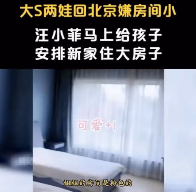 汪家孩子回北京無望,張蘭透露對方要6000萬擔保金,要安總作擔保